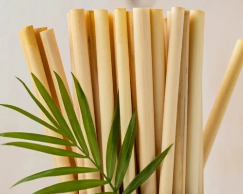 Bamboo Straw